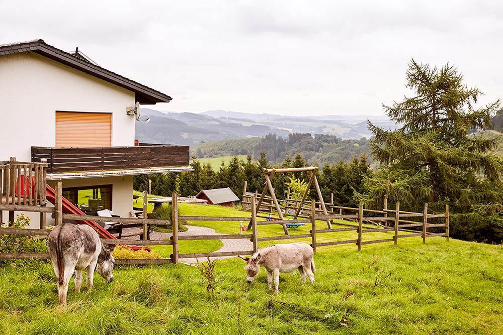 Pension Haus Am Einberg Meschede Bagian luar foto